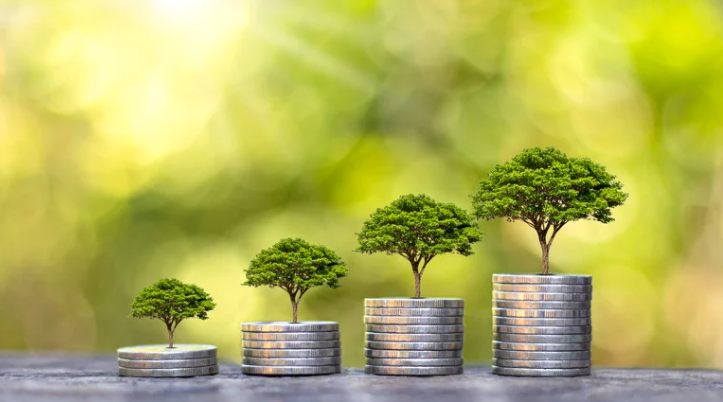 ¿Merece la pena el Método RICO?